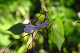 image0101