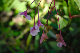 image0102