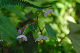 image0103