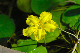 image0104