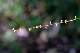 image0107