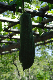 image0108