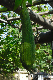 image0109