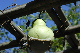 image0110
