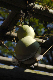 image0111