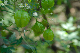 image0112