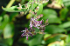 image0113