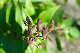 image0114