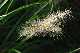 image0116