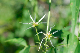 image0120
