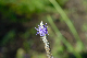 image0121