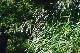 image0122