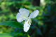 image0123