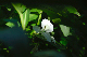 image0124