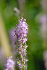 image0125