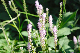 image0126