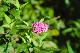 image0127