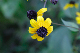 image0128