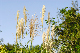 image0132