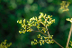 image0134