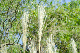 image0135