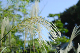 image0136
