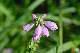 image0137