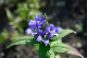 image0138