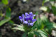 image0139