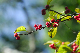 image0140