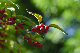 image0141