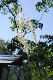 image0142
