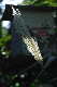 image0143