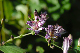 image0144