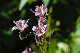 image0145