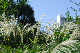 image0146