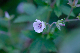 image0147