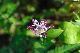 image0148