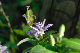 image0149