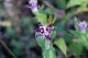 image0150