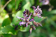 image0151