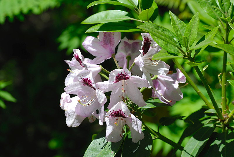 image0101