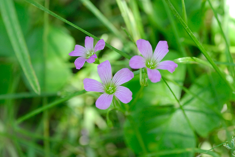 image0102