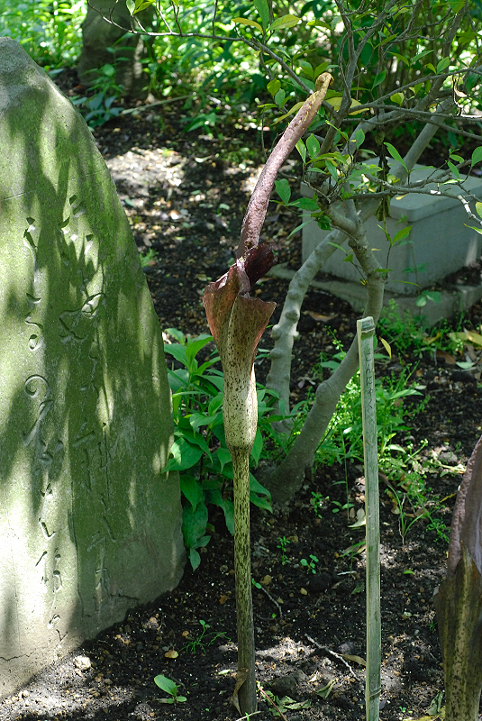 image0104