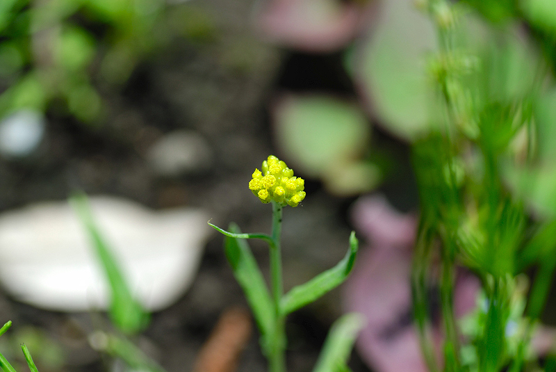 image0109