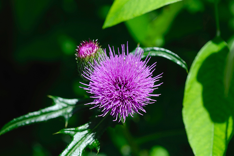 image0112