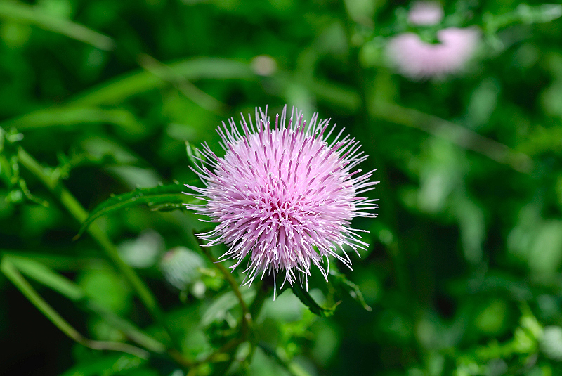 image0114
