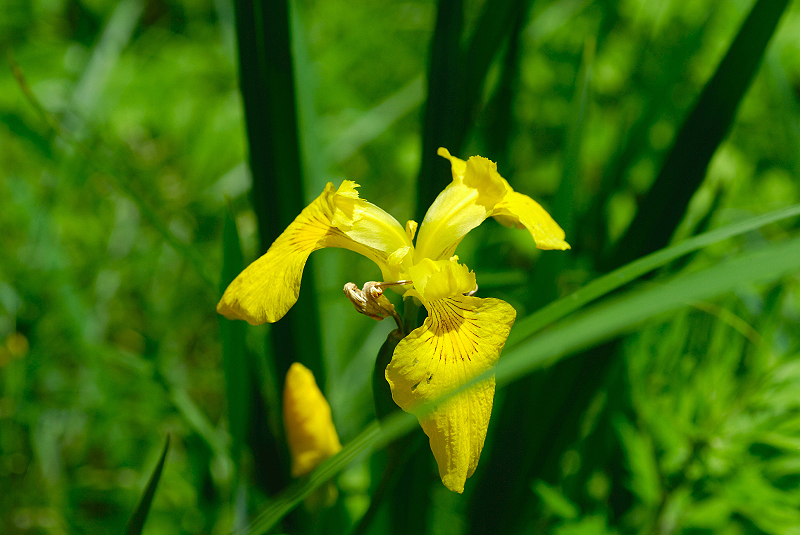 image0116