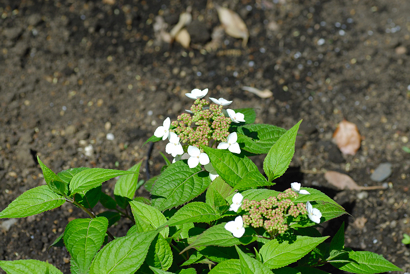 image0122