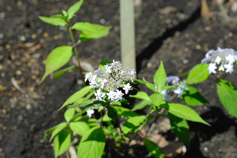 image0124